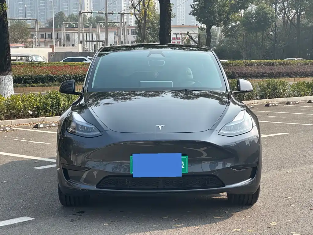 Tesla Model Y — фото 2