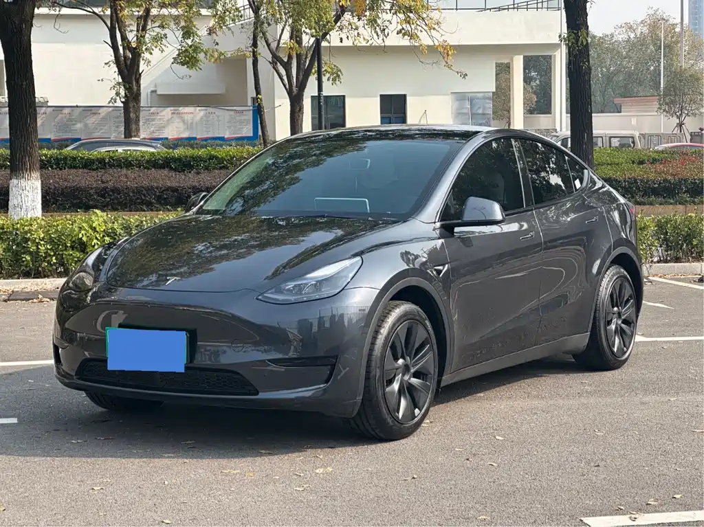Tesla Model Y — фото 3