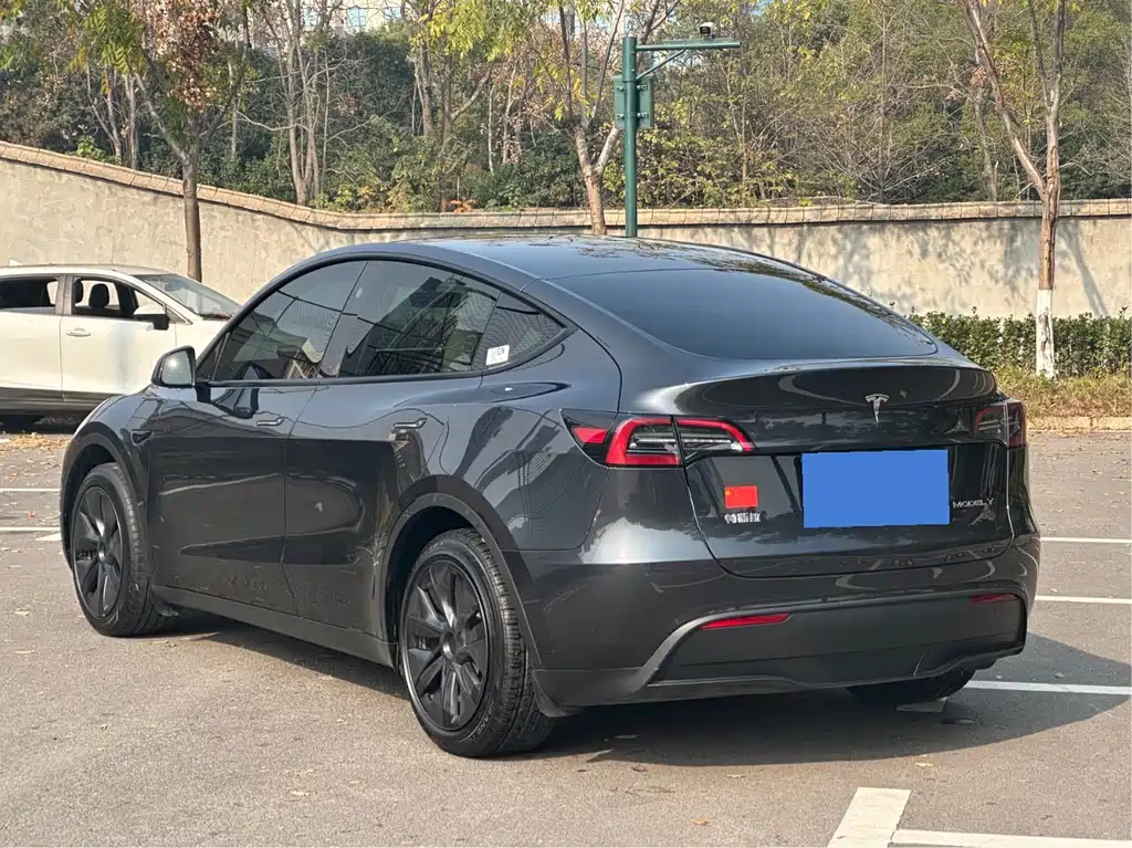 Tesla Model Y — фото 5