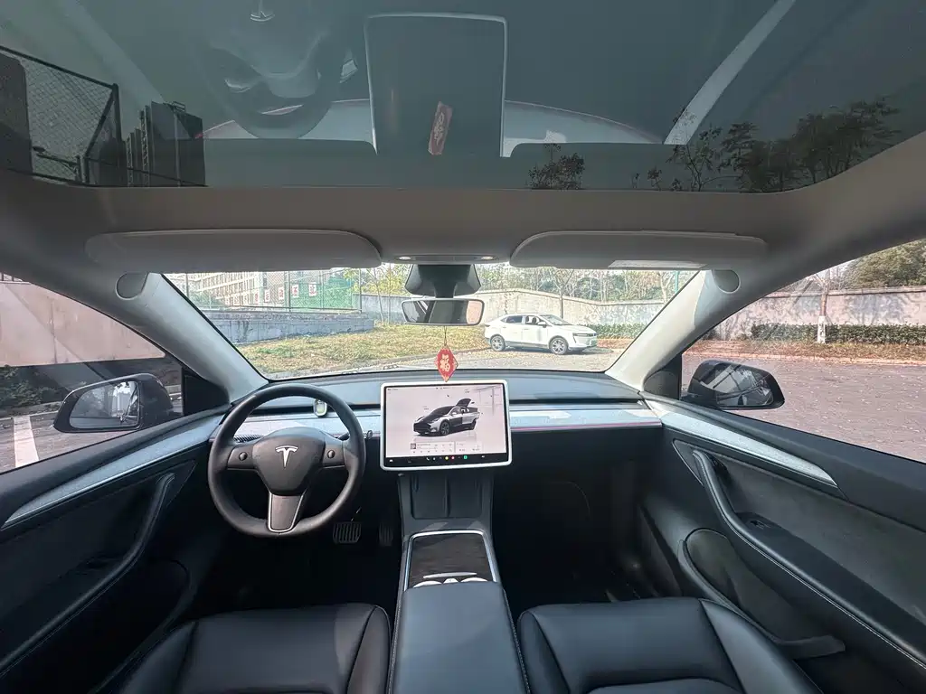 Tesla Model Y — фото 9