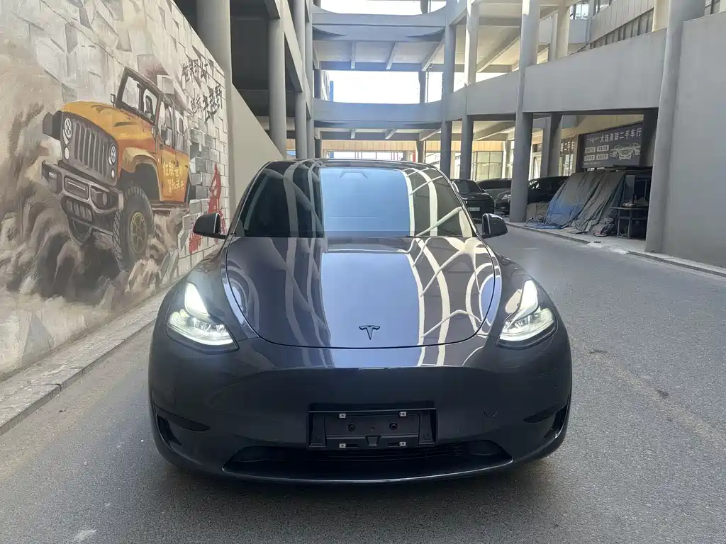 Tesla Model Y — фото 2