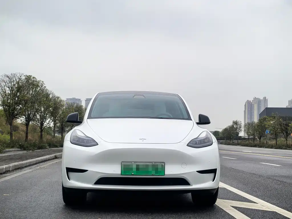 Tesla Model Y — фото 2