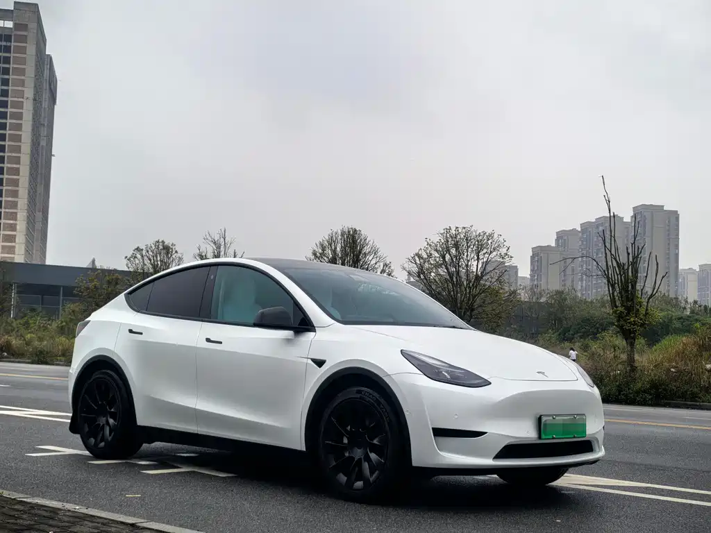 Tesla Model Y — фото 3