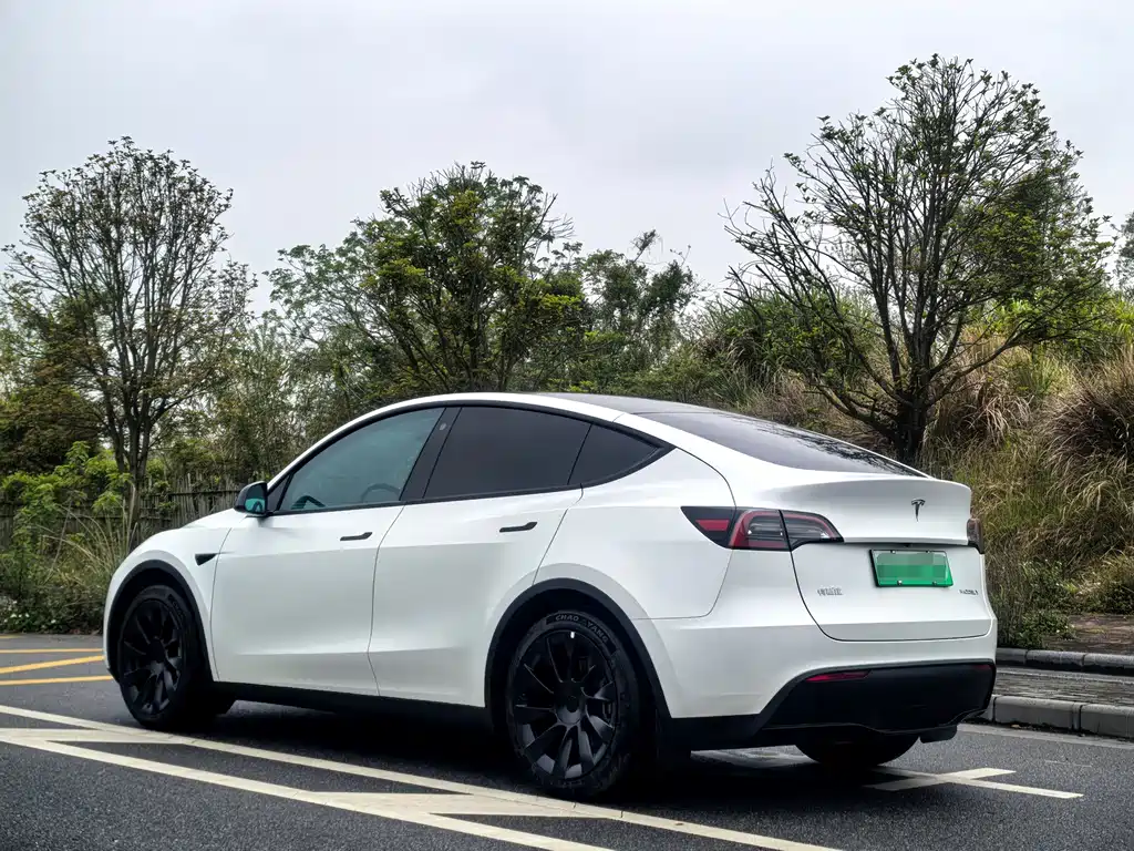 Tesla Model Y — фото 4