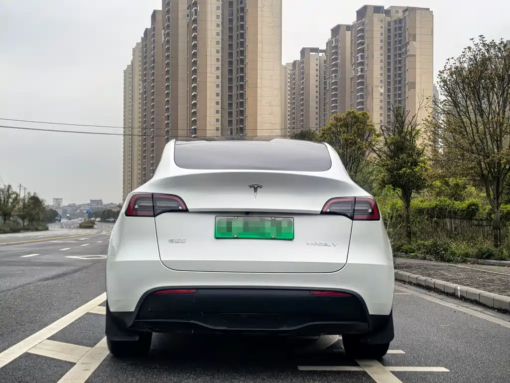 Tesla Model Y — фото 5