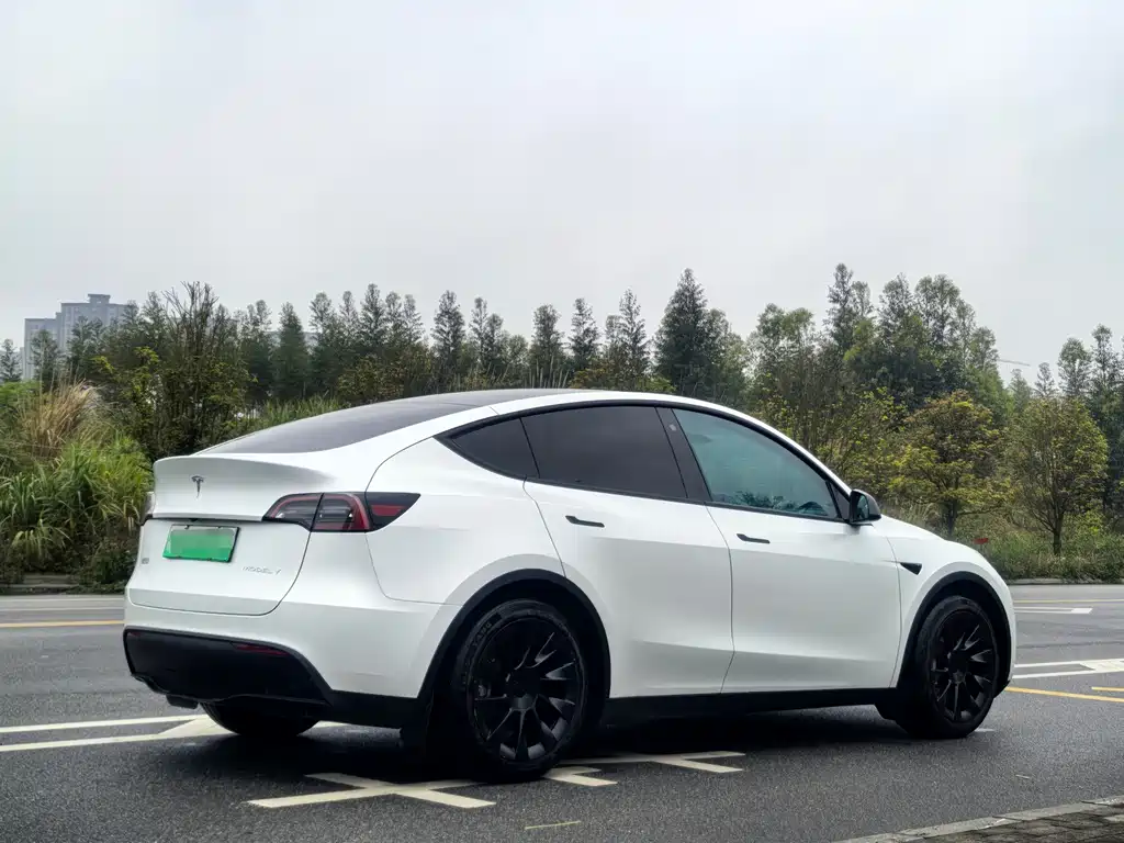 Tesla Model Y — фото 6