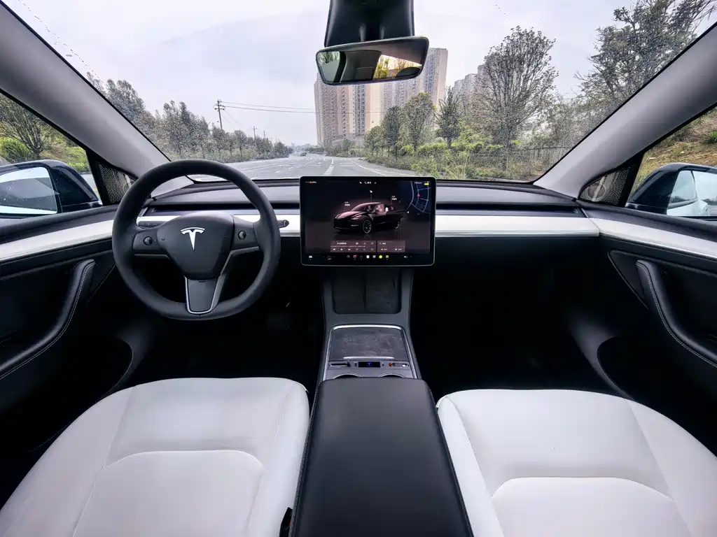 Tesla Model Y — фото 9