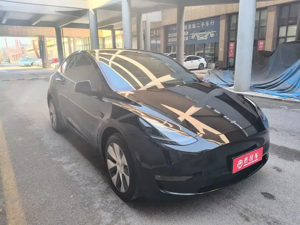 Tesla Model Y — фото 4