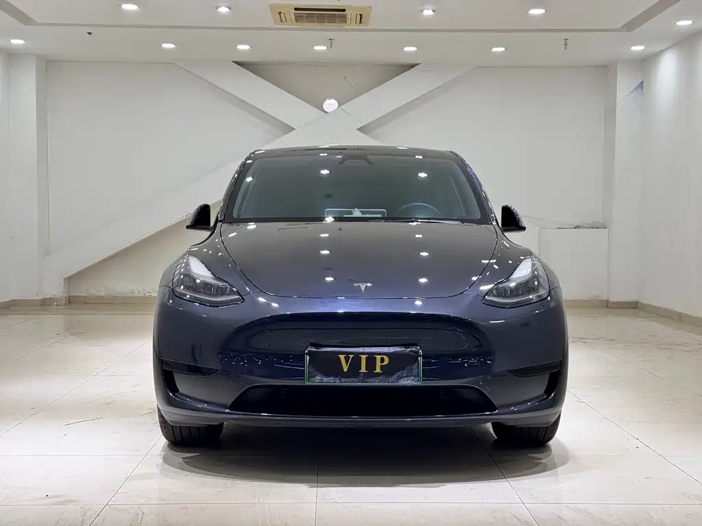 Tesla Model Y — фото 2