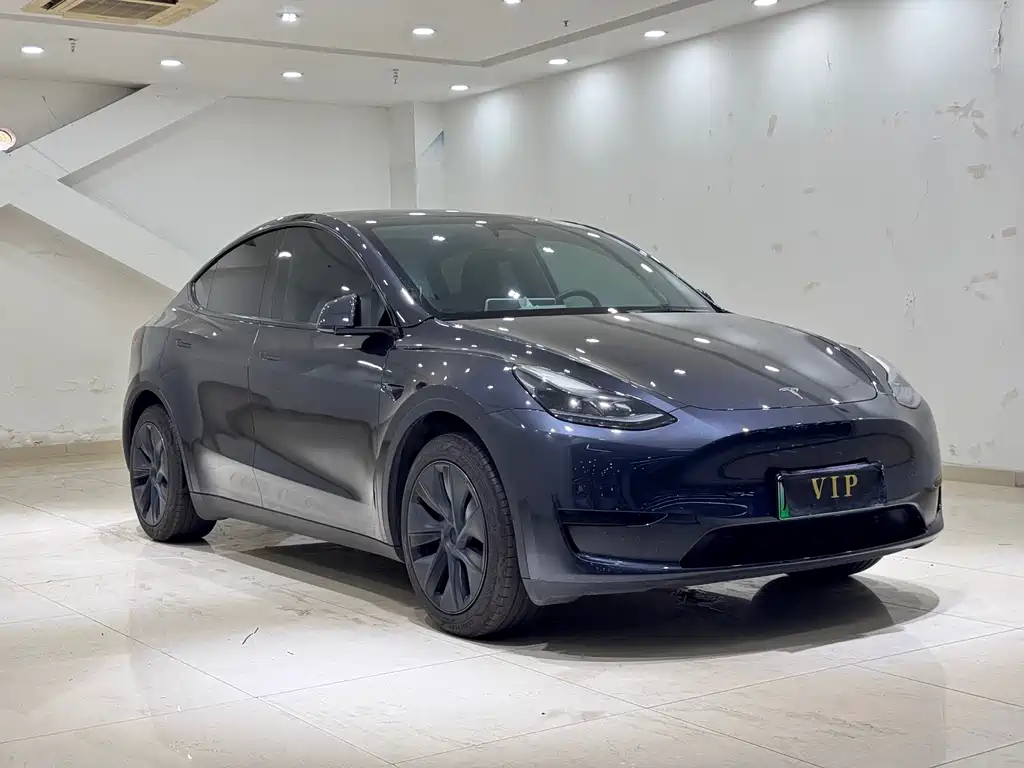 Tesla Model Y — фото 3