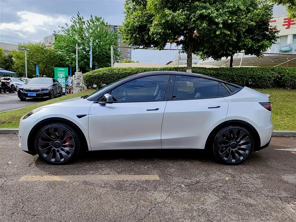 Tesla Model Y — фото 3