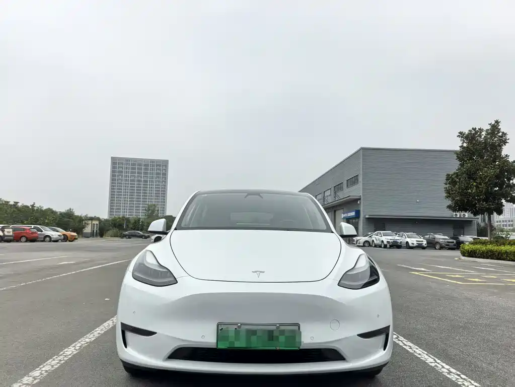 Tesla Model Y — фото 2