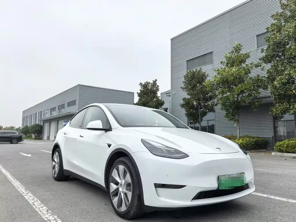 Tesla Model Y — фото 3