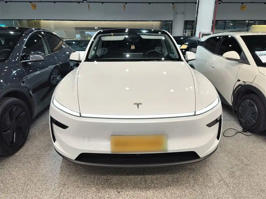 Tesla Model Y — фото 3