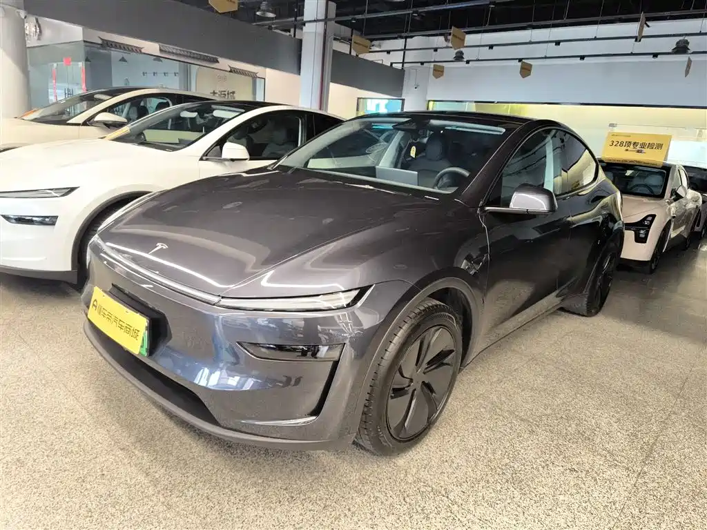 Tesla Model Y — фото 2