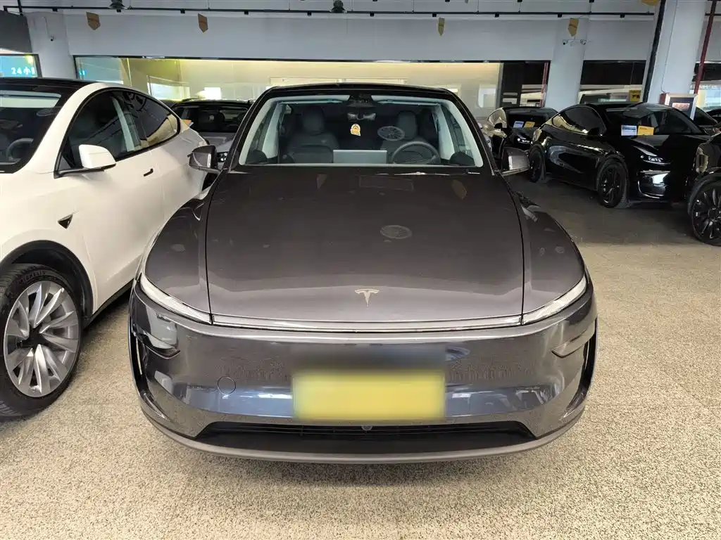 Tesla Model Y — фото 3