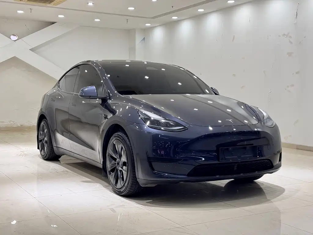 Tesla Model Y — фото 3