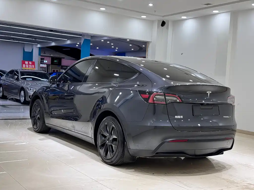 Tesla Model Y — фото 5