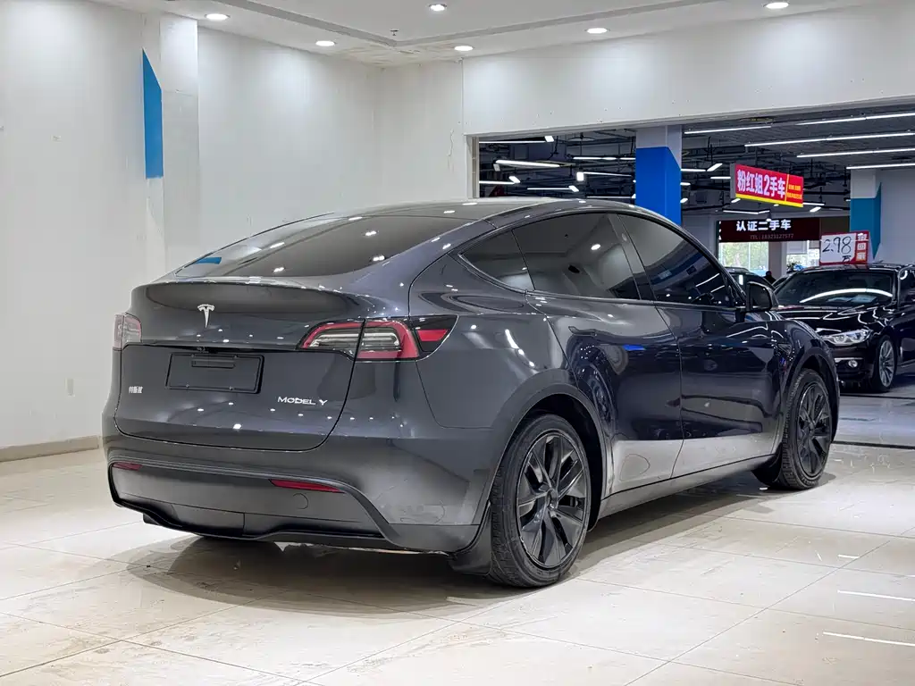 Tesla Model Y — фото 6