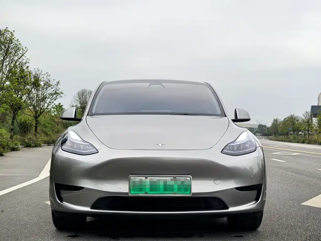 Tesla Model Y — фото 2