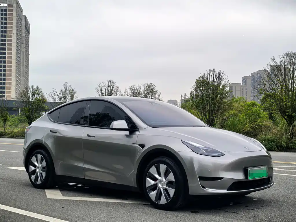 Tesla Model Y — фото 3