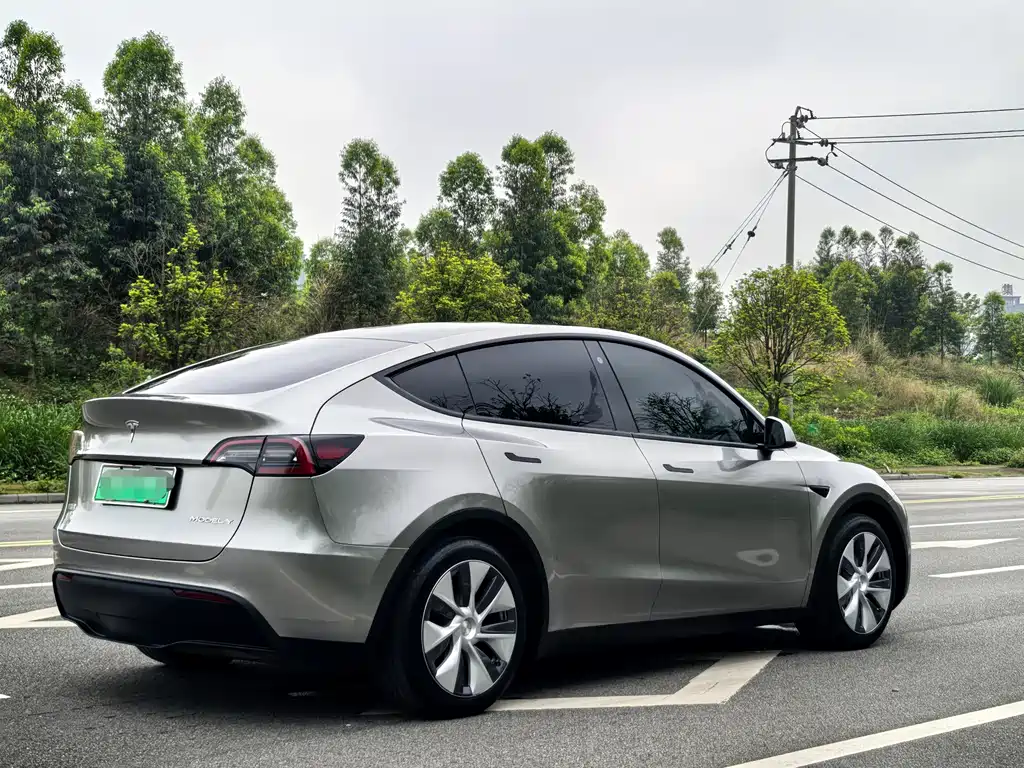Tesla Model Y — фото 6