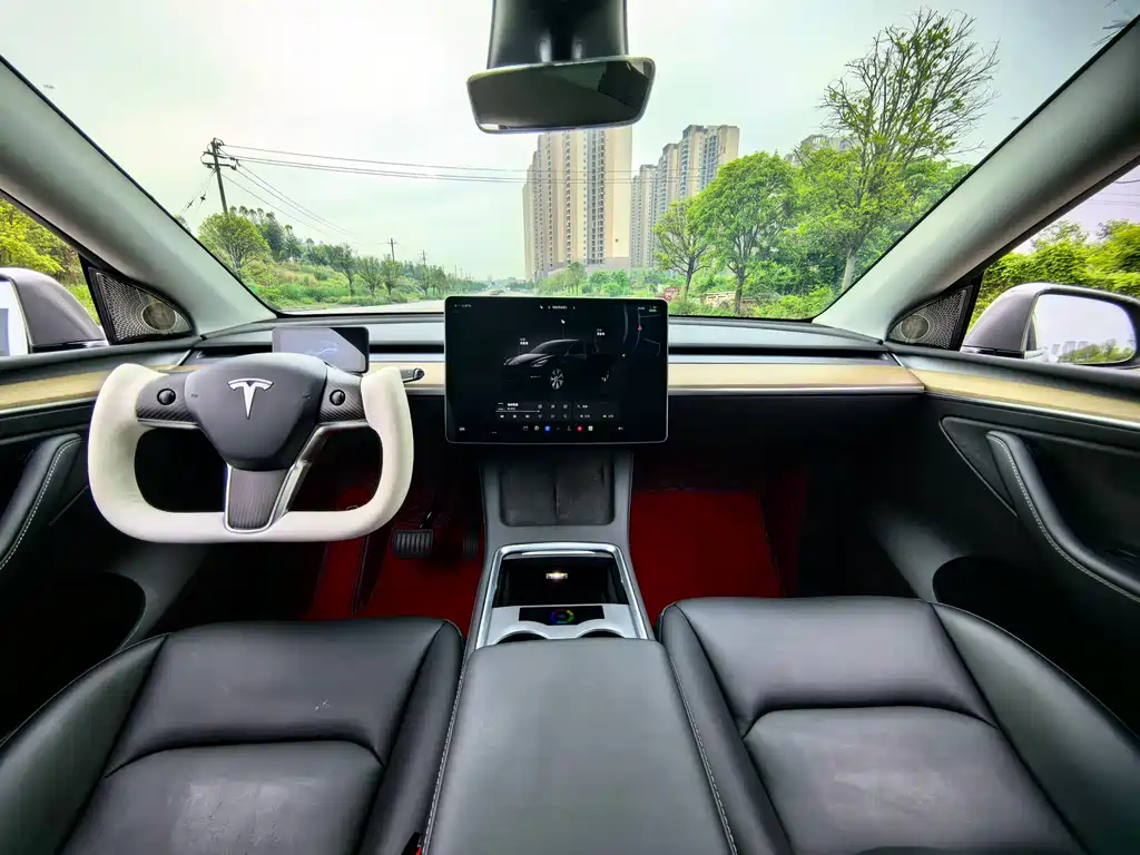 Tesla Model Y — фото 9