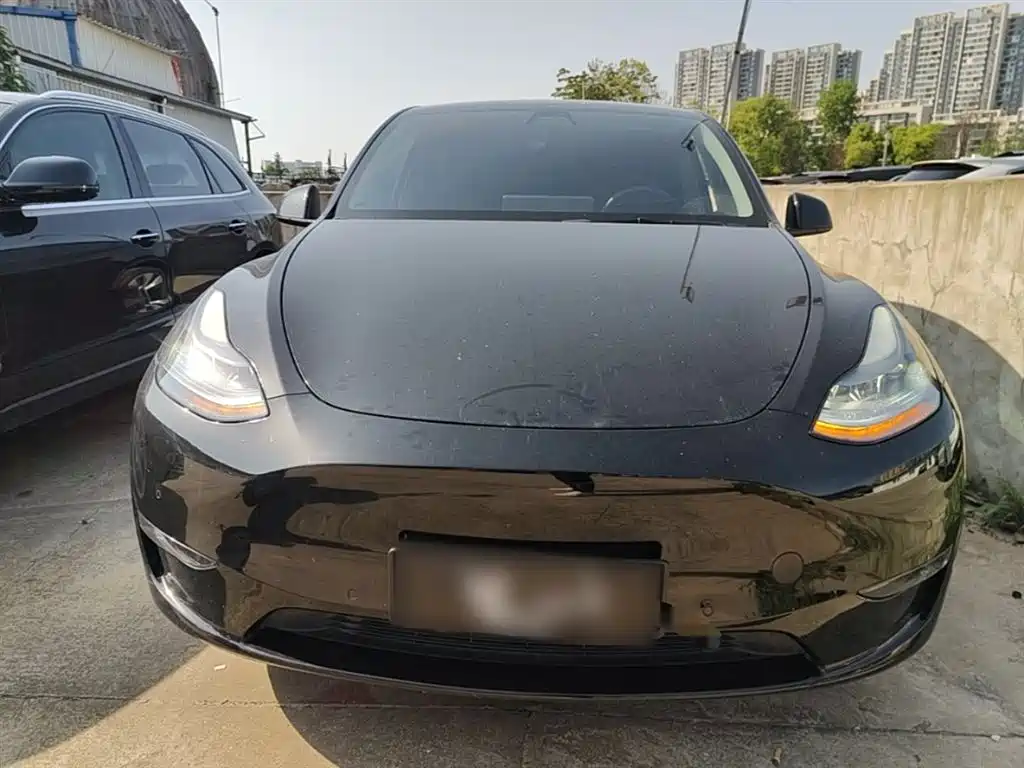 Tesla Model Y — фото 3