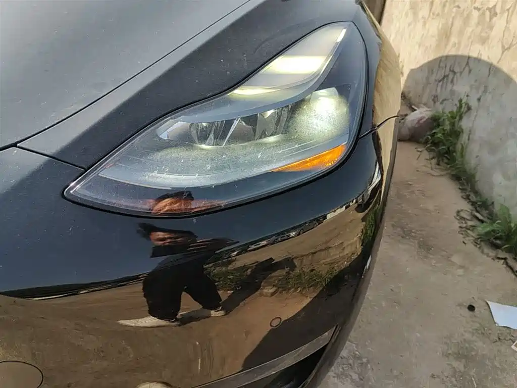 Tesla Model Y — фото 24