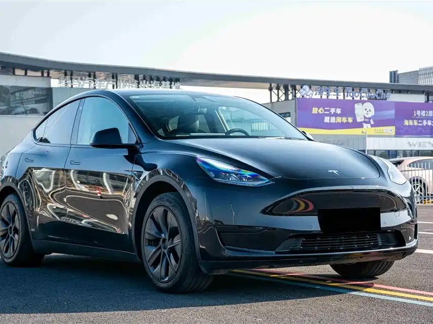 Tesla Model Y — фото 3