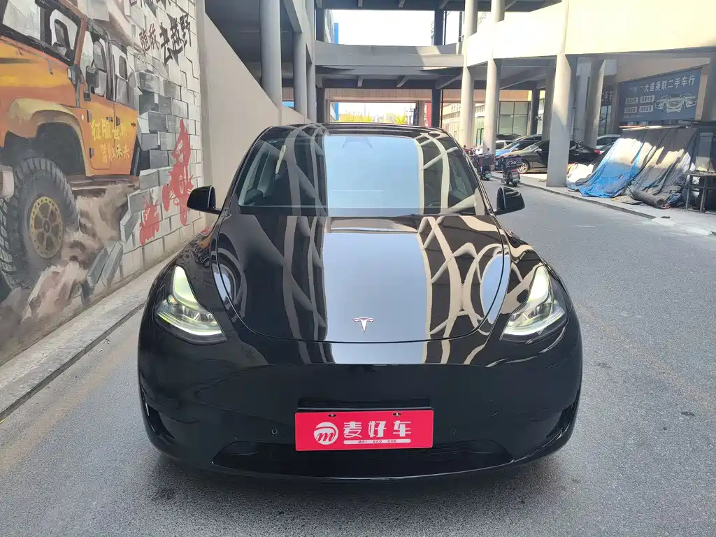Tesla Model Y — фото 2