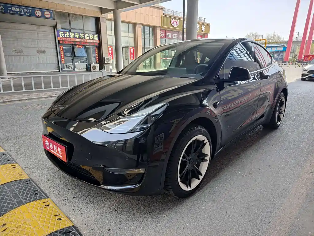 Tesla Model Y — фото 3