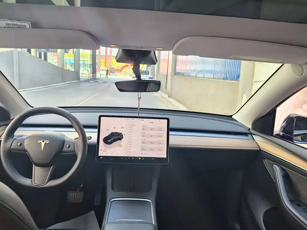 Tesla Model Y — фото 9