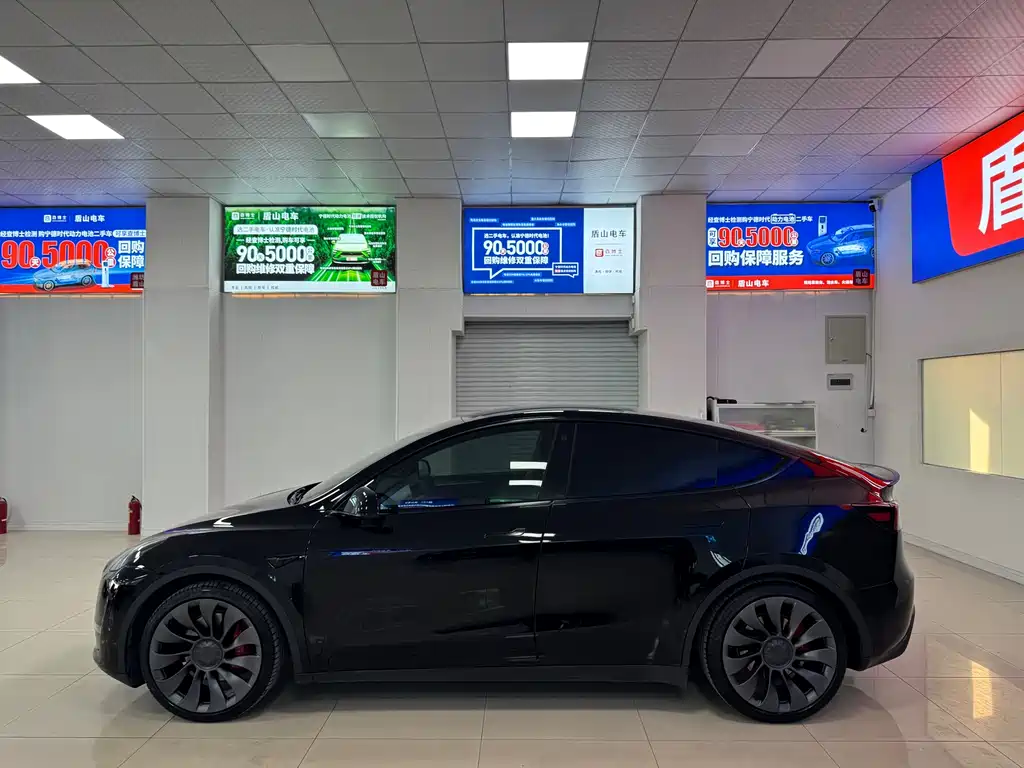 Tesla Model Y — фото 3
