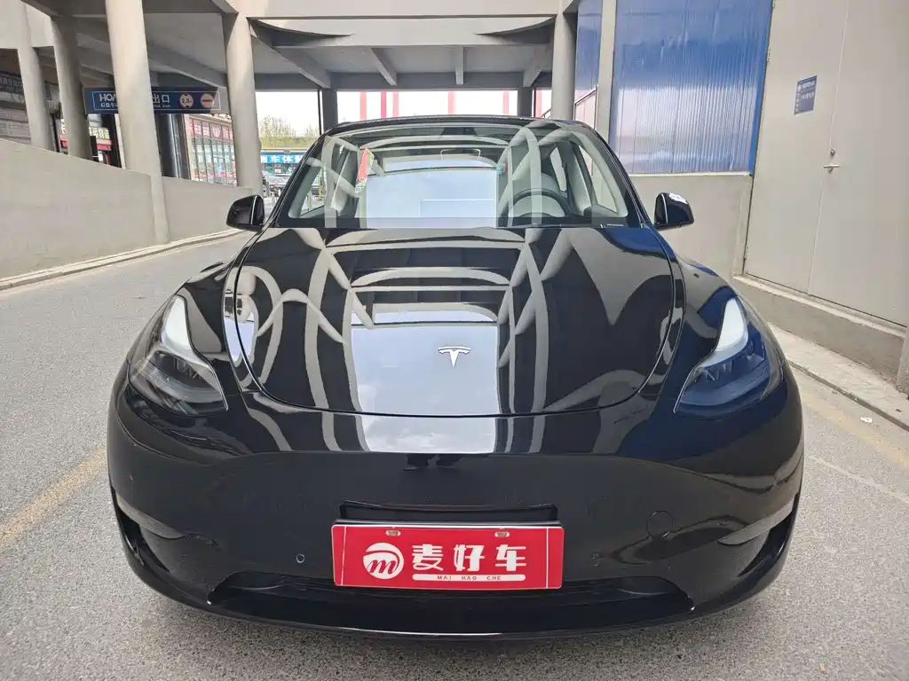 Tesla Model Y — фото 2