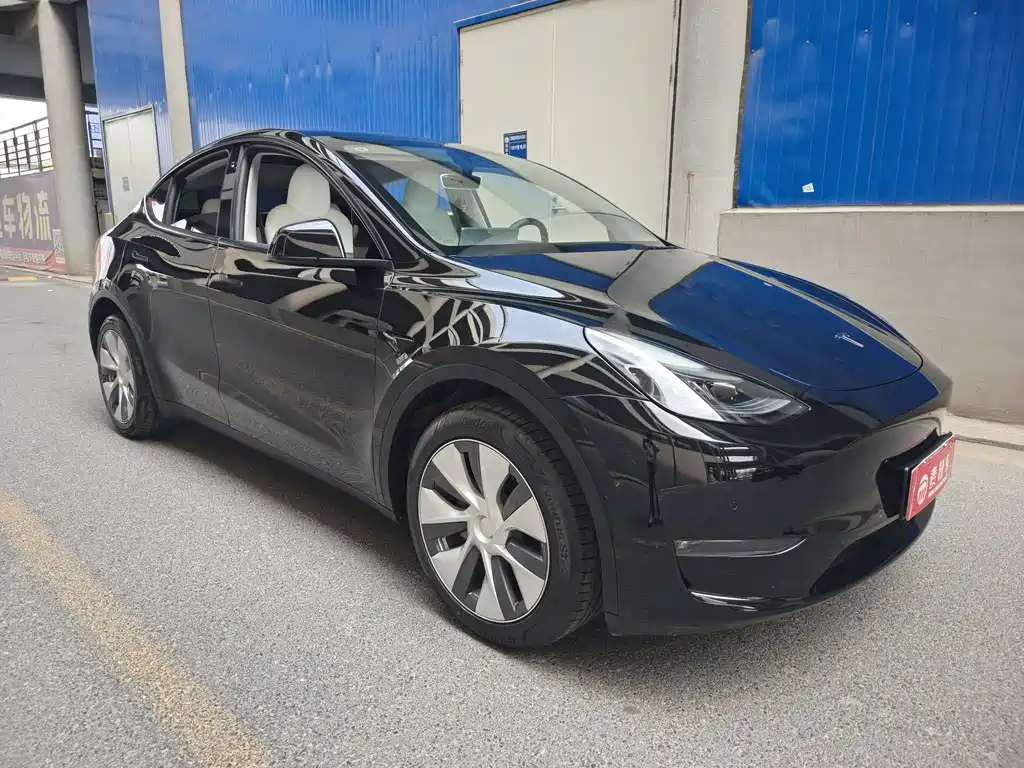 Tesla Model Y — фото 3