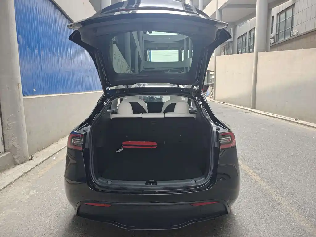 Tesla Model Y — фото 7