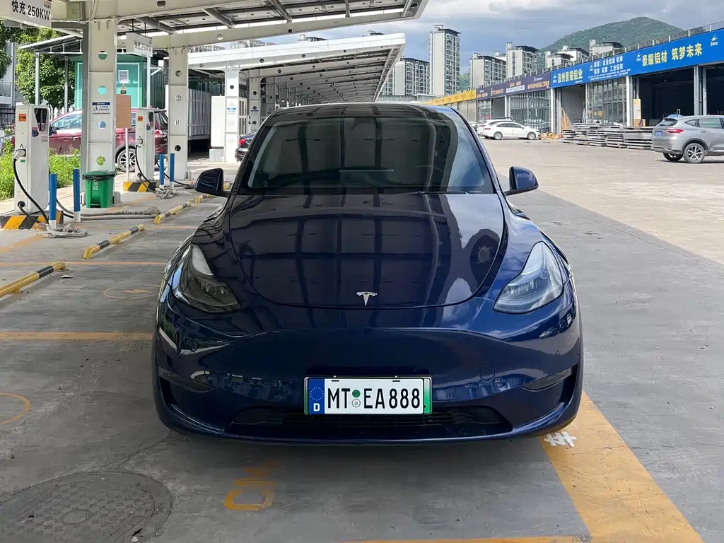 Tesla Model Y — фото 2