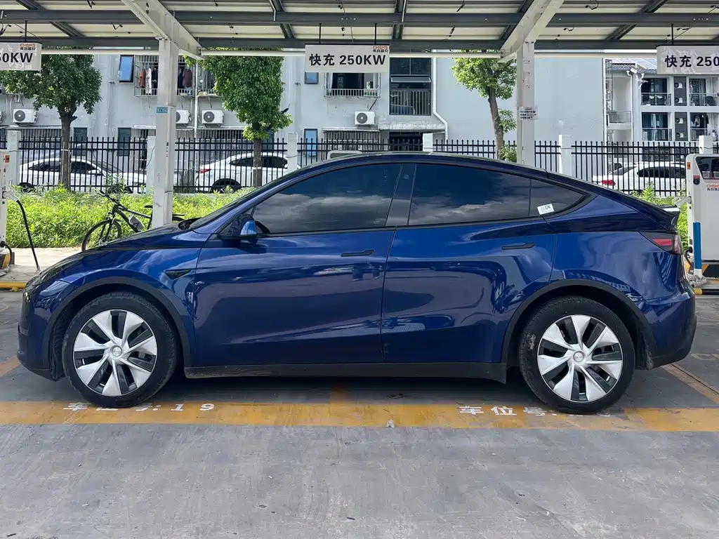 Tesla Model Y — фото 3