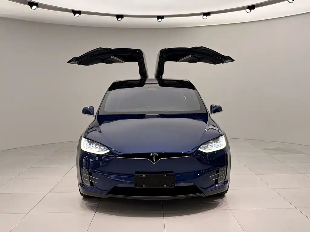 Tesla Model X — фото 2
