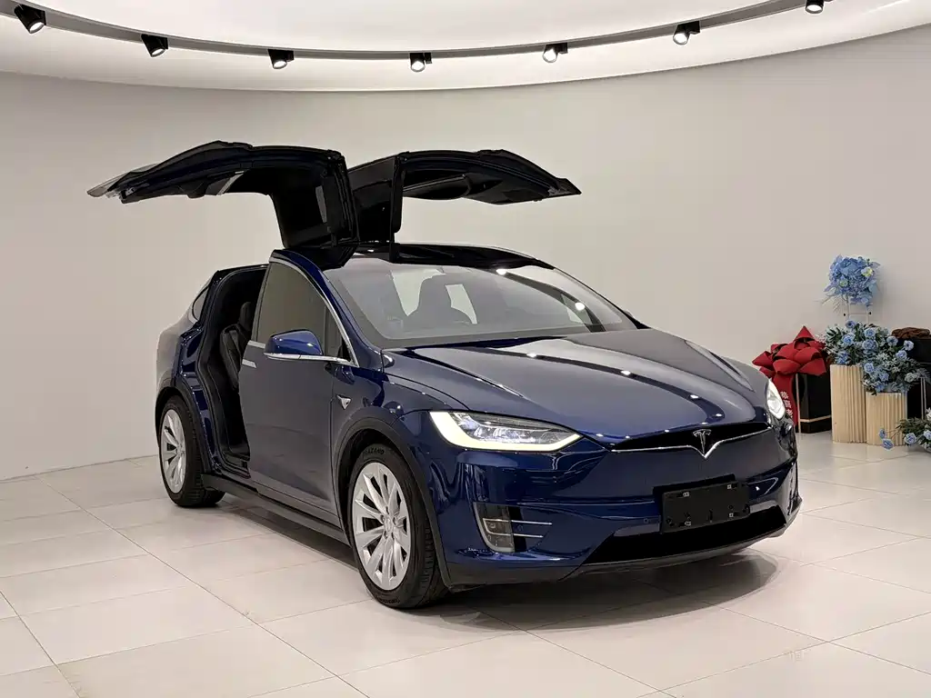 Tesla Model X — фото 3