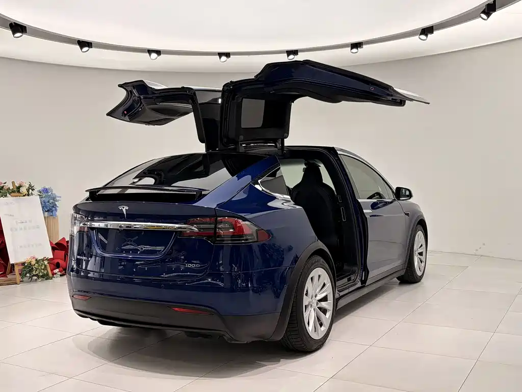 Tesla Model X — фото 4
