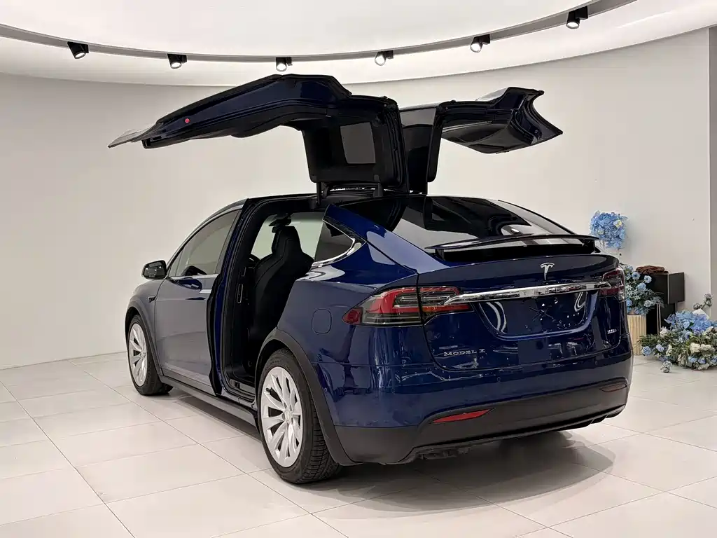 Tesla Model X — фото 5