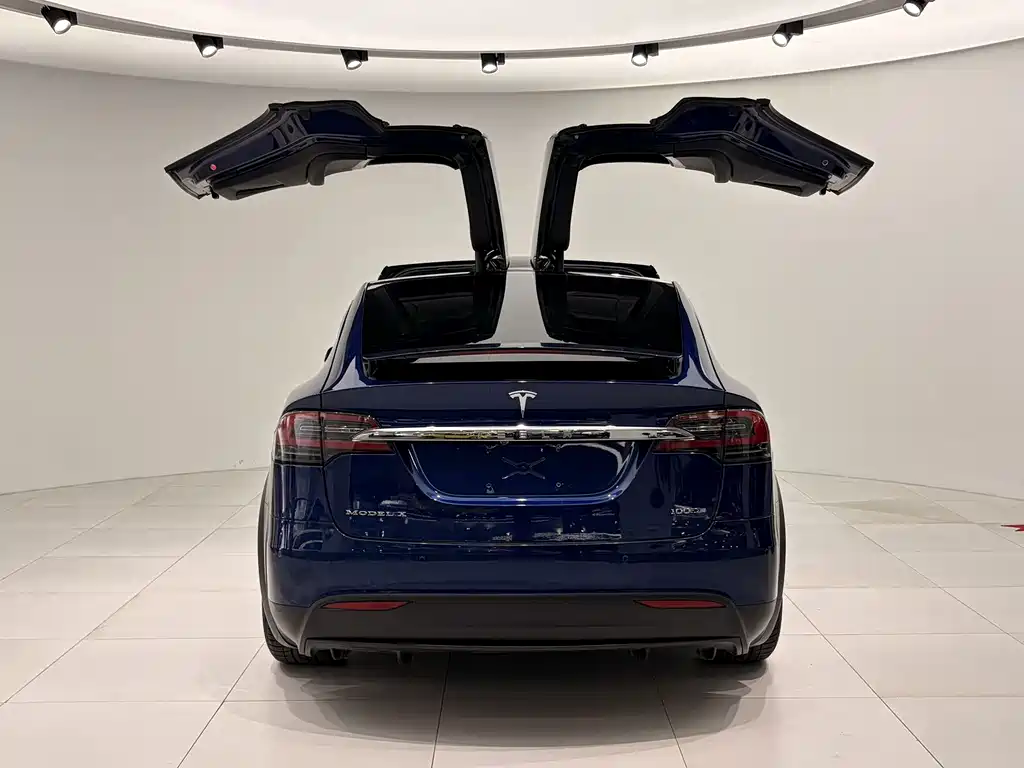 Tesla Model X — фото 6