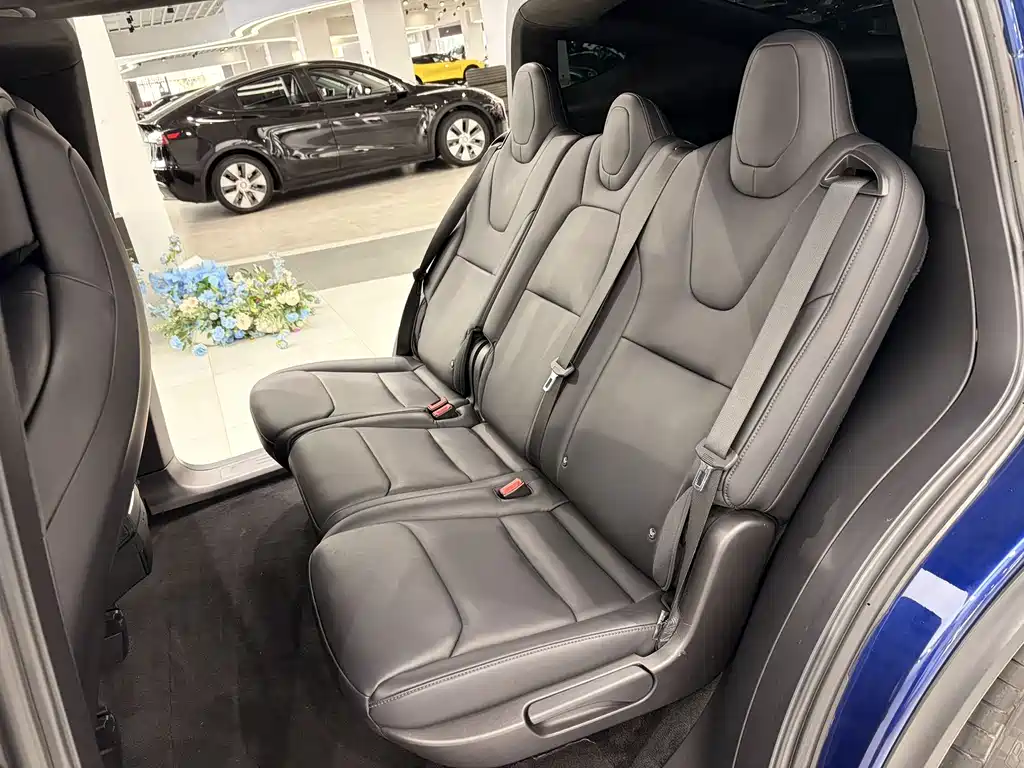 Tesla Model X — фото 8