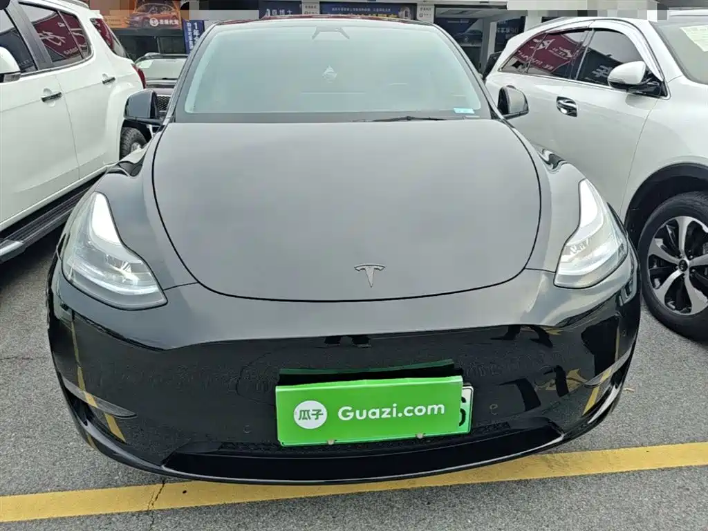 Tesla Model Y — фото 3