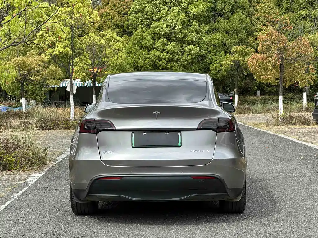 Tesla Model Y — фото 3