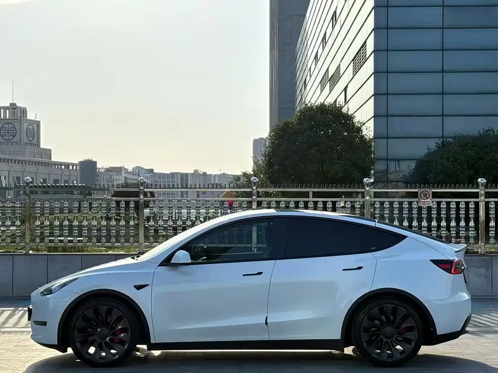 Tesla Model Y — фото 3