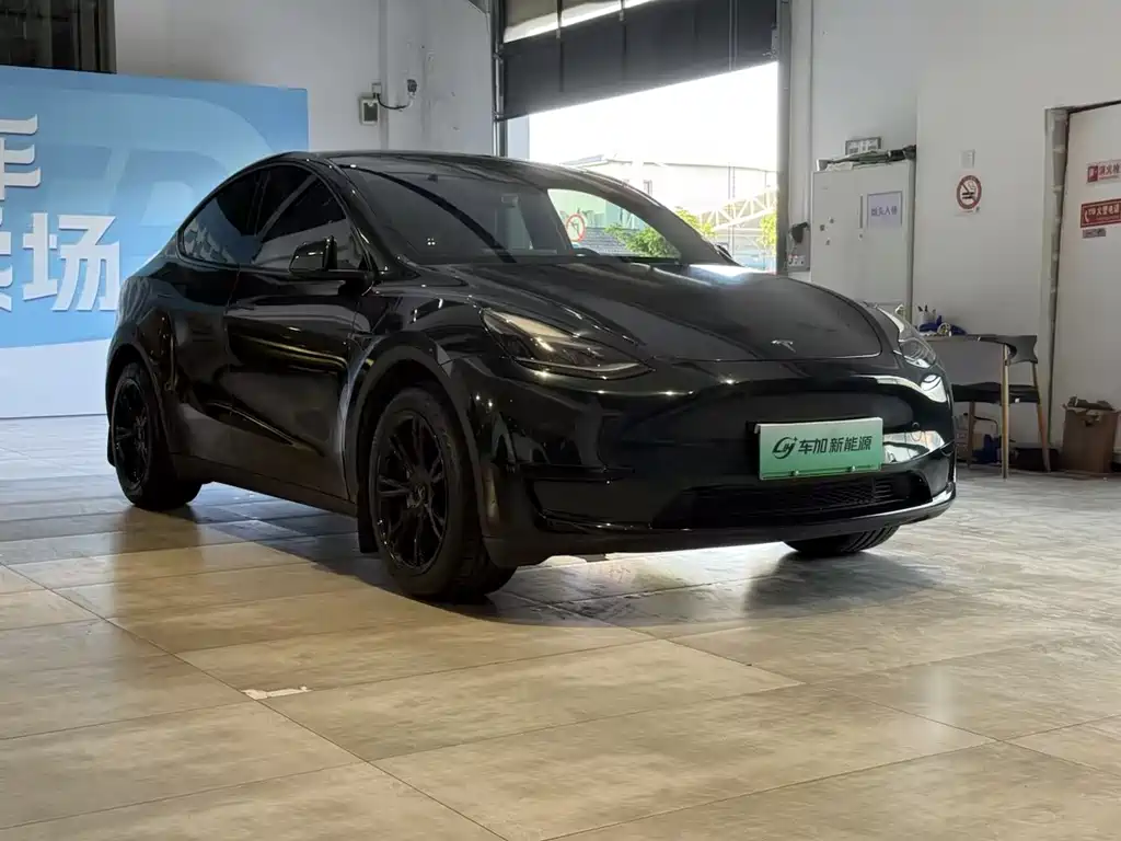 Tesla Model Y — фото 3