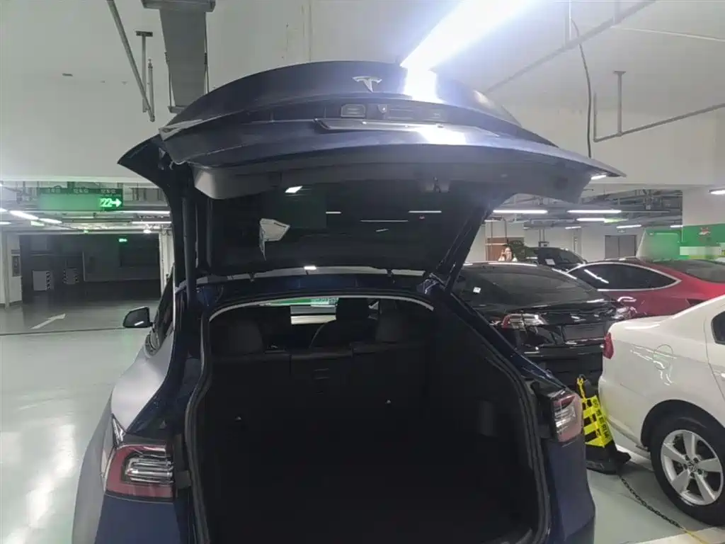 Tesla Model Y — фото 19